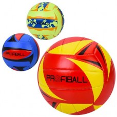 Мяч волейбольный EN-3331